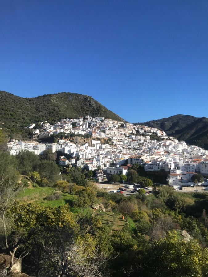 En Algun Lugar Del Mundo Διαμέρισμα La Cala De Mijas Εξωτερικό φωτογραφία